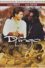 Watch Dingo Megashare9