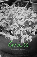 Watch Grass Megashare9