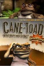 Watch Cane-Toad What Happened to Baz Megashare9