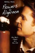 Watch Flowers for Algernon Megashare9