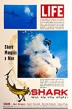 Watch Shark Megashare9