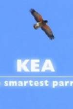 Watch Kea - The Smartest Parrot Megashare9