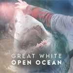 Watch Great White Open Ocean Megashare9