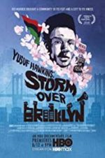 Watch Yusuf Hawkins: Storm Over Brooklyn Megashare9