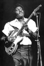 Watch Albert Collins in Concert Megashare9