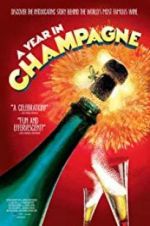 Watch A Year in Champagne Megashare9