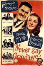 Watch Never Say Goodbye Megashare9