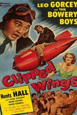 Watch Clipped Wings Megashare9