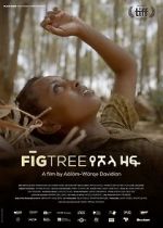 Watch Fig Tree Megashare9