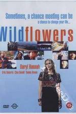 Watch Wildflowers Megashare9