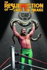 Watch The Resurrection of Jake The Snake Roberts Megashare9