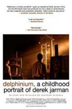 Watch Delphinium: A Childhood Portrait of Derek Jarman Megashare9