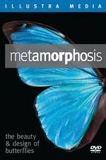 Watch Metamorphosis: The Beauty and Design of Butterflies Megashare9