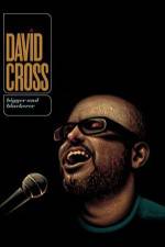 Watch David Cross Bigger & Blackerer Megashare9