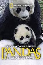 Watch Pandas: The Journey Home Megashare9