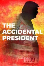Watch The Accidental President Megashare9