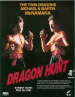 Watch Dragon Hunt Megashare9