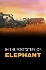 Watch In the Footsteps of Elephant Megashare9