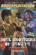 Watch Soul Brothers of Kung Fu Megashare9