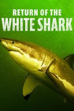 Watch Return of the White Shark Megashare9