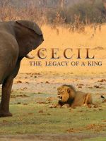 Watch Cecil: The Legacy of a King Megashare9