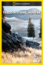 Watch National Geographic Yellowstone Winter Megashare9
