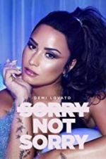 Watch Demi Lovato: Sorry Not Sorry Megashare9