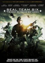 Watch Seal Team Six: The Raid on Osama Bin Laden Megashare9