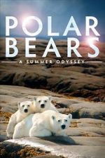 Watch Polar Bears: A Summer Odyssey Megashare9