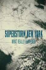 Watch Superstorm New York: What Really Happened Megashare9