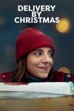 Watch Delivery by Christmas Megashare9