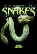 Watch Beauty of Snakes Megashare9