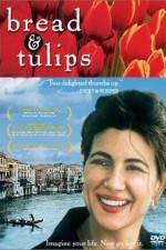 Watch Bread & Tulips Megashare9