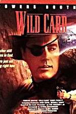 Watch Wild Card Megashare9