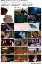 Watch History Channel Evolve: Jaws Megashare9