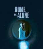 Watch Home, Not Alone Megashare9