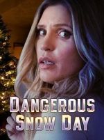 Watch Dangerous Snow Day Megashare9