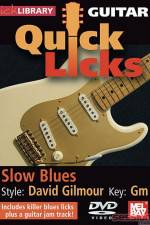 Watch Lick Library Quick Licks David Gilmour Megashare9