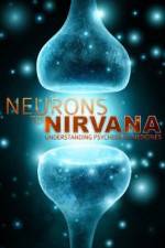 Watch Neurons to Nirvana Megashare9