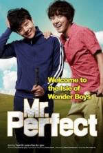 Watch Mr. Perfect Megashare9