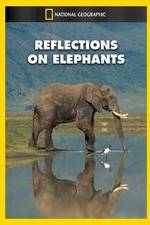 Watch Reflections on Elephants Megashare9