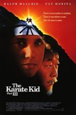 Watch The Karate Kid Part III Megashare9