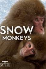 Watch Nature: Snow Monkeys Megashare9