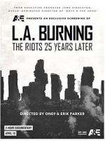 Watch L.A. Burning: The Riots 25 Years Later Megashare9