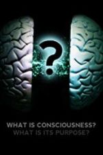 Watch What Is Consciousness? What Is Its Purpose? Megashare9