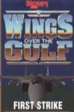 Watch Wings Over the Gulf Vol  1  First Strike Megashare9