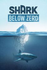 Watch Shark Below Zero Megashare9