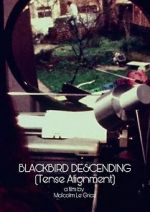 Watch Blackbird Descending Megashare9