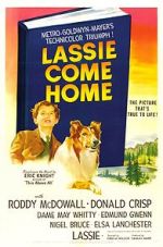 Watch Lassie Come Home Megashare9