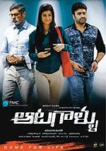 Watch Aatagallu Megashare9